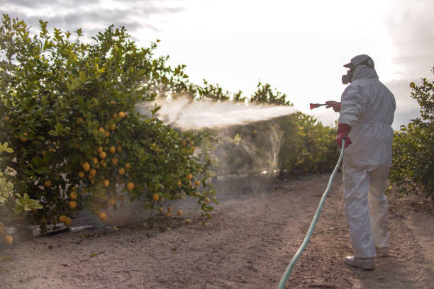 Best Best Pest Control Companies  in Mercerville, NJ
