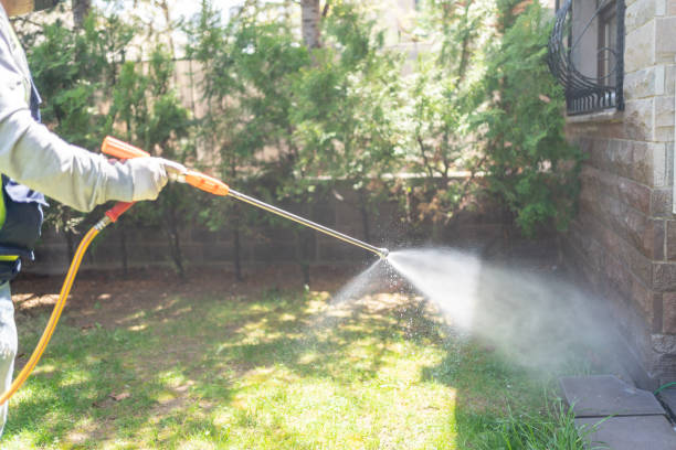 Best Local Pest Control Services  in Mercerville, NJ