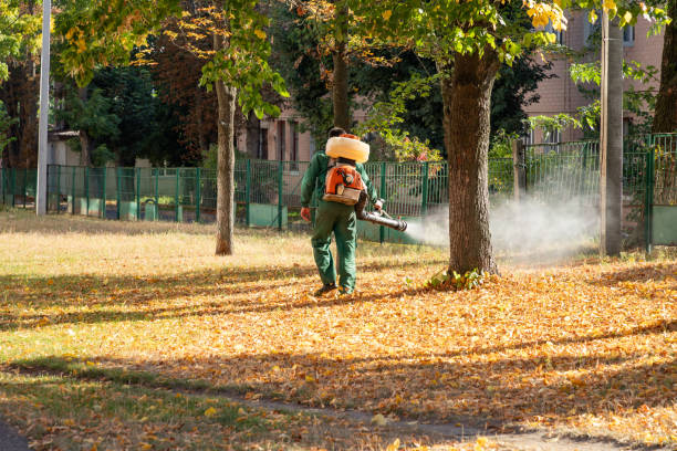 Reliable Mercerville, NJ Pest Control Solutions